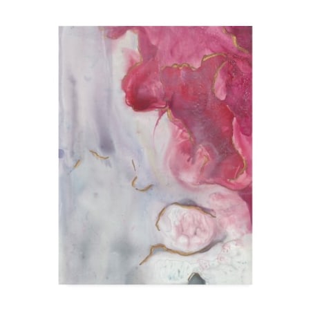 Joyce Combs 'Magenta Dream II' Canvas Art,24x32
